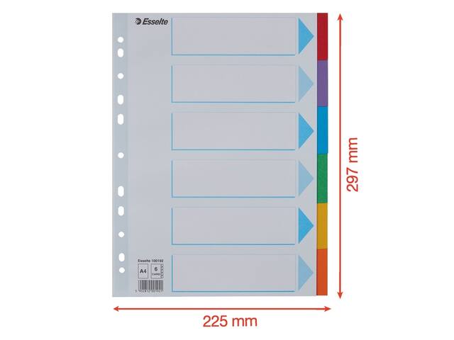 Tabbladen Esselte Stand A4 6dlg karton 11r ass