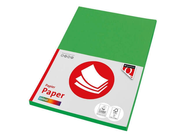 Kopieerpapier Quantore Col-50 A4 160gr grasgroen