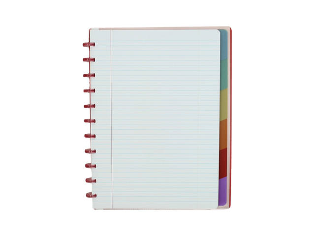 Schrift Atoma A4+ lijn 120blz 90gr PP transp ass