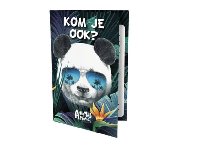 Uitnodigingen Panda 13.5x9cm