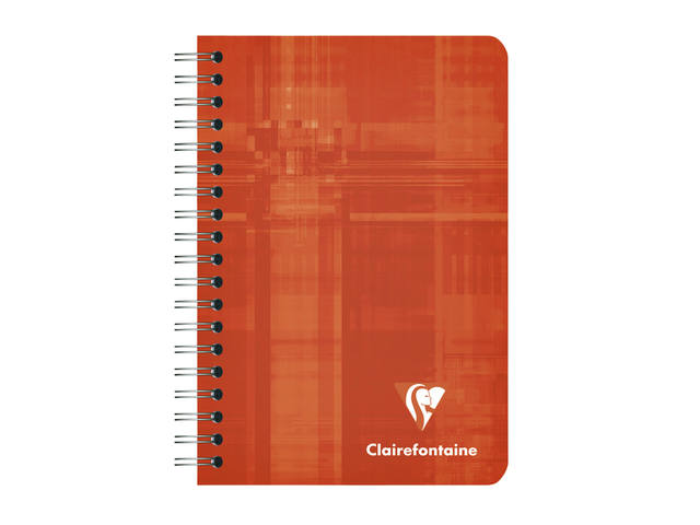 Notitieboek Clairefontaine 95x140 5x5 100blz ass