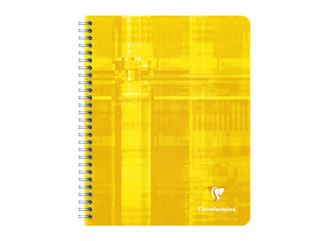 Schrift Clairefontaine A5+ ruit 5x5mm 120pag 90gr