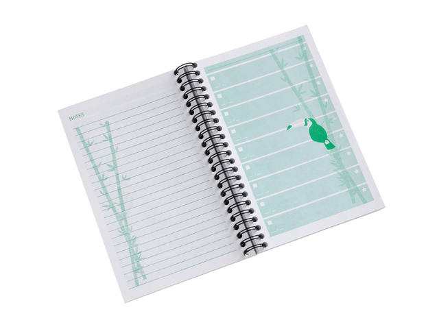 Things to do Djois recy papier Jungle 100vel gn