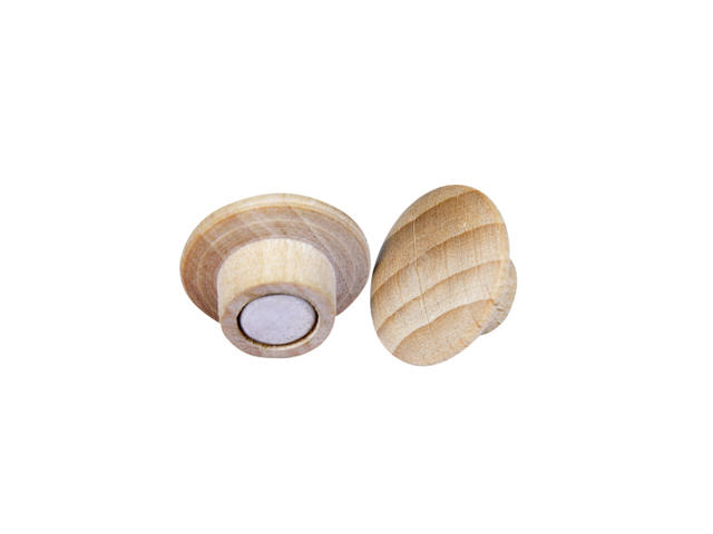 Magneet Legamaster hout 5 stuks