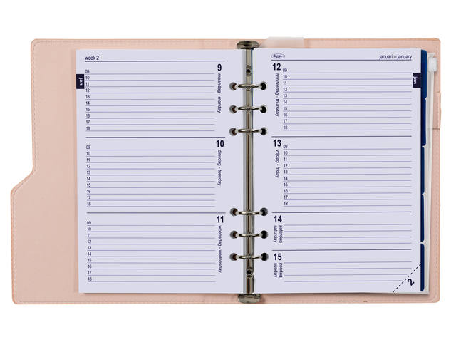 Organizer Kalpa A5 + ag26-27 7d/2p croco rose