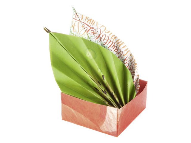 Vouwblaadjes Folia 80gr 15x15cm 50v 2z tropical