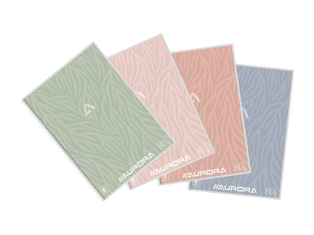 Schrift Aurora A4 lijn 120pag 80gr assorti