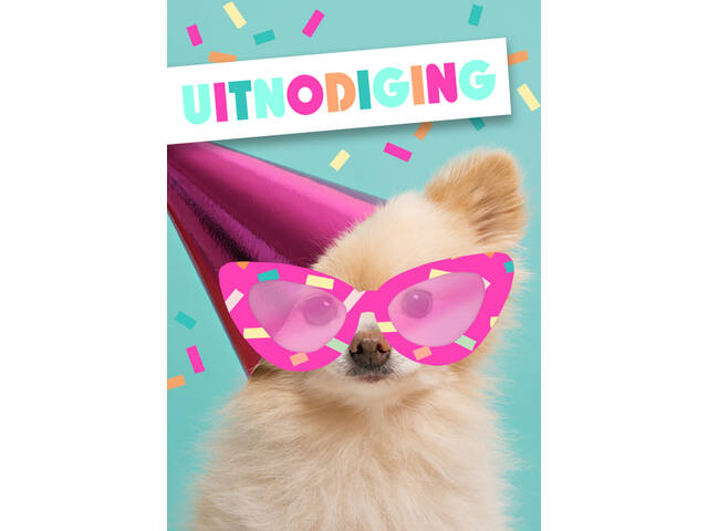 Wenskaart Hallmark uitnodiging hond 5 stuks