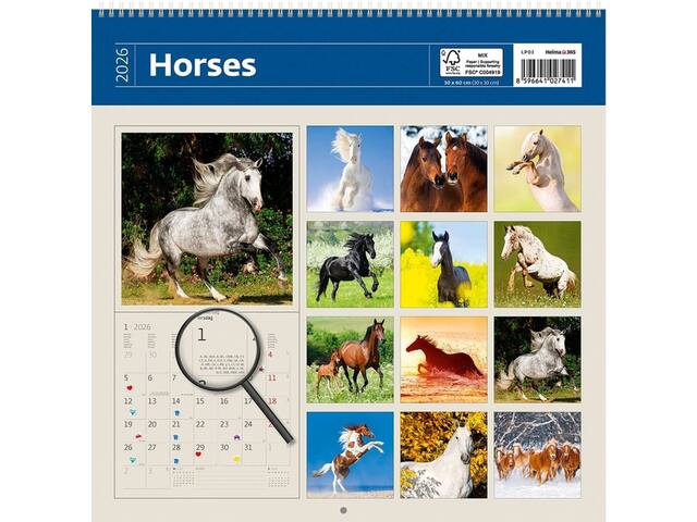 Kalender 2027 30x30cm paarden