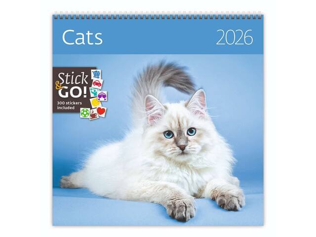 Kalender 2027 30x30cm katten