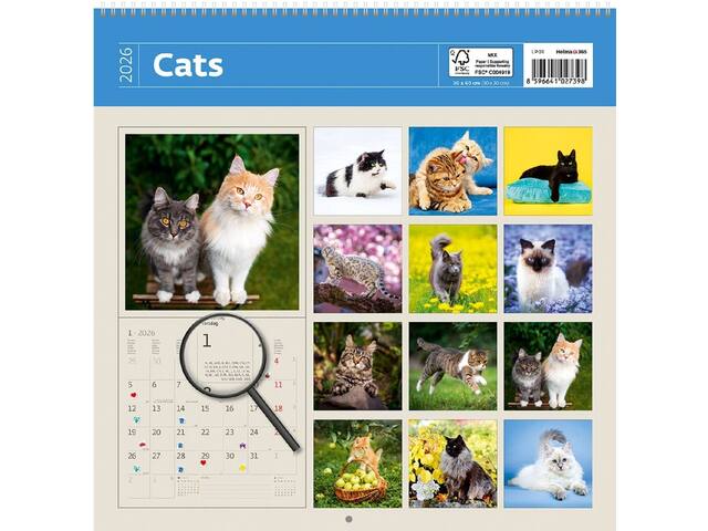 Kalender 2027 30x30cm katten