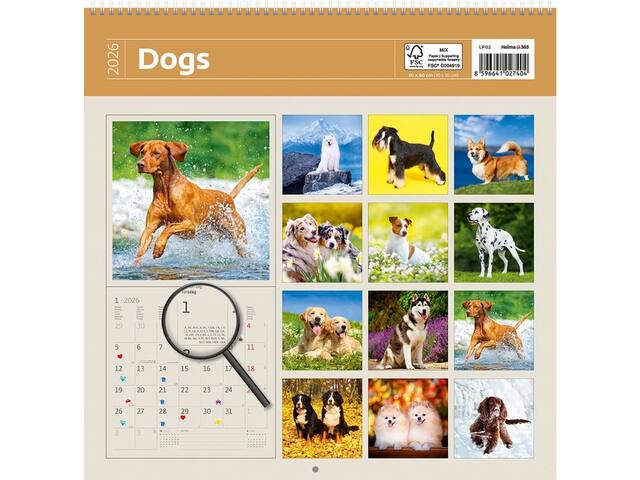 Kalender 2027 30x30cm honden