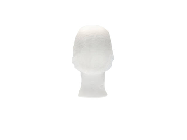 Haarnet CMT clip non-woven M 50cm PP wit