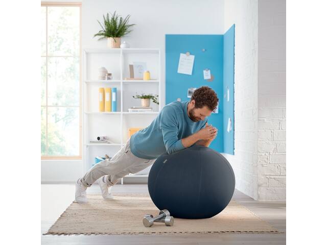 Actieve zitbal Leitz Ergo Cosy grijs