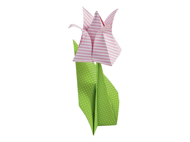 Vouwblaadjes Folia 80gr 20x20cm 50v 2z basics