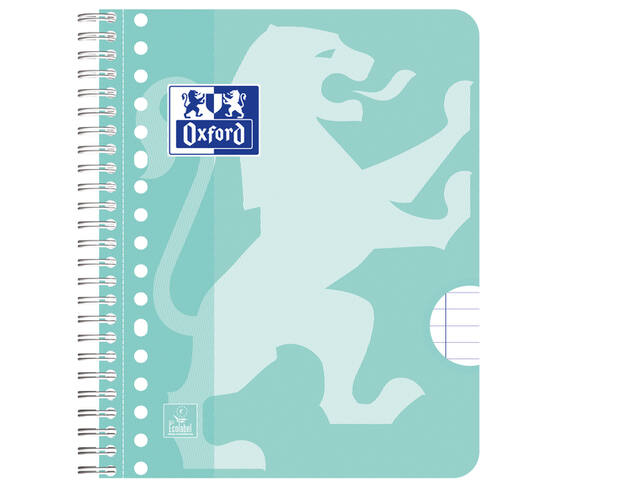 Collegeblk Oxf School A5+ ln 17gaats 160pag pastel