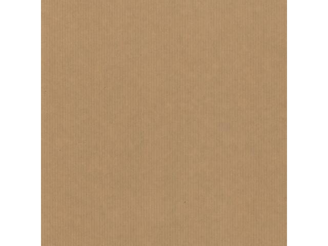 Cadeauzak Special Wrap 12x19cm kraft zw en wt ass