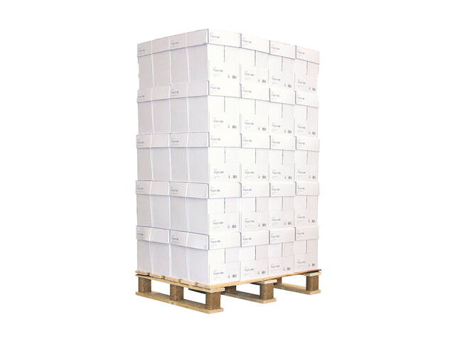 Kopieerpapier Daily Paper A4 80gr wit 500 vel