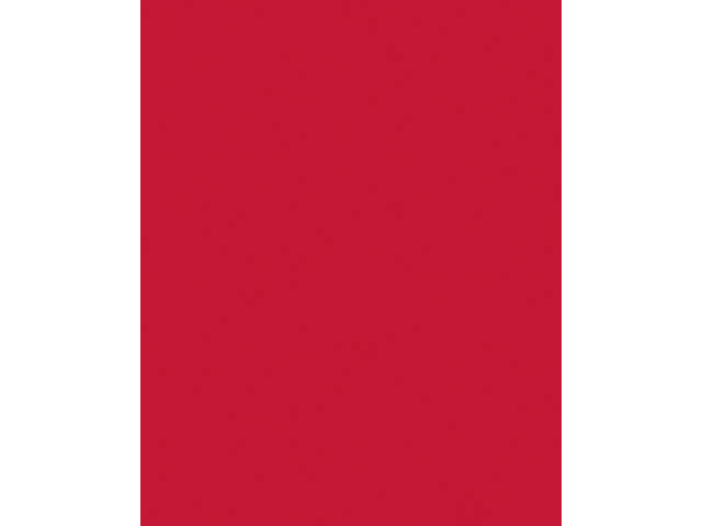 Etalagekarton Folia 1z 48x68cm 380gr nr211 rood