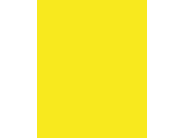 Etalagekarton Folia 1z 48x68cm 380gr nr125 geel