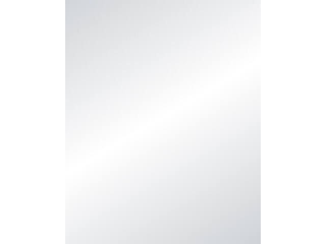 Etalagekarton Folia 1z 48x68cm 380gr nr631 zilver