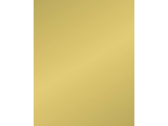 Etalagekarton Folia 1z 48x68cm 380gr nr611 goud