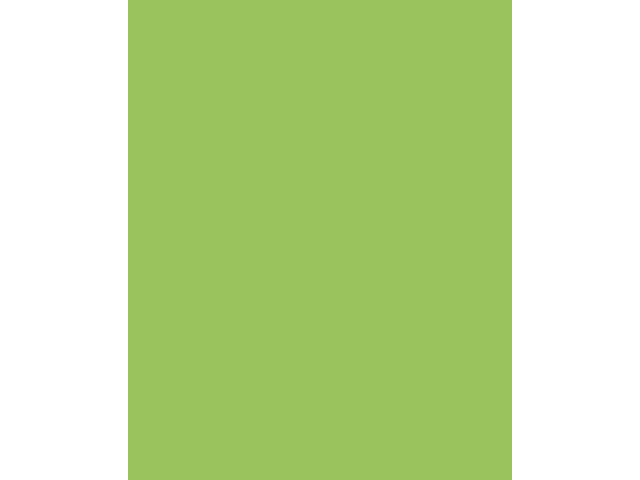 Etalagekarton Folia 1z 48x68cm 380gr nr941 fl gn