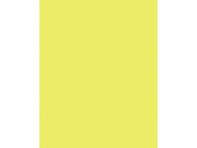 Etalagekarton Folia 1z 48x68cm 380gr nr911 fl gl