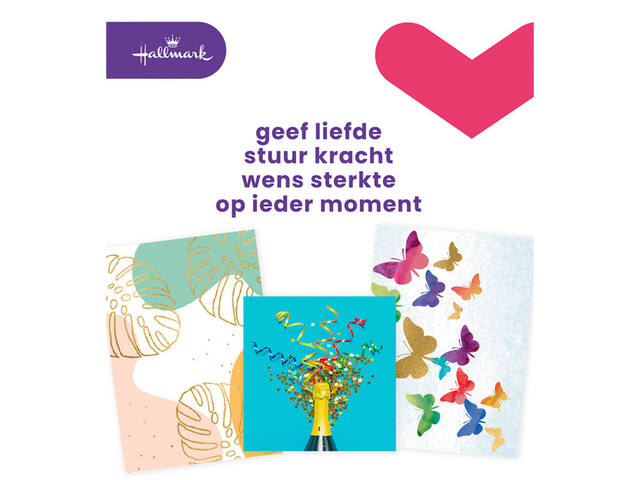Wenskaart Hallmark Business Box zonder tekst 8st