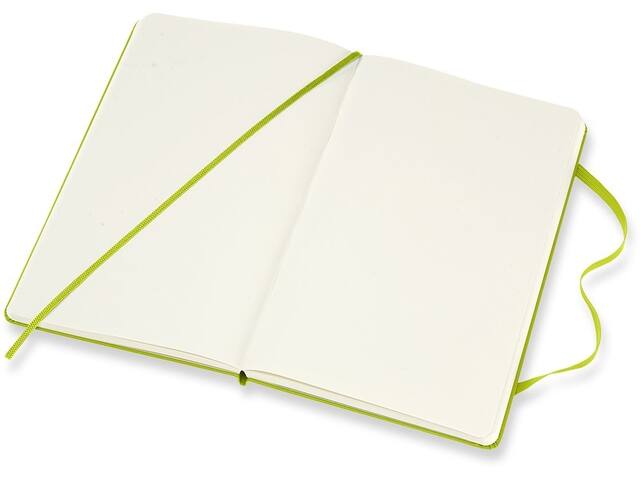 Notitieboek Moleskine large 130x210 blc hc lem gn