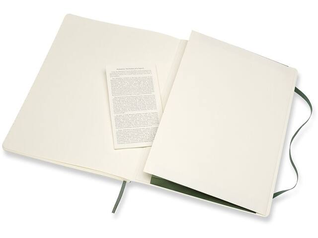 Notitieboek Moleskine XL 190x250 ln sc myrt gn