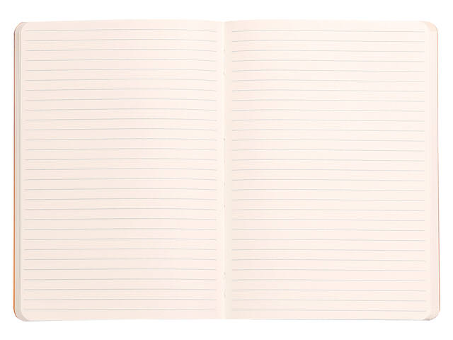 Notitieboek Rhodia A5 lijn 80 vel 90gr celadon