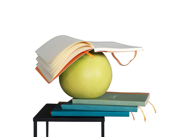 Notitieboek Rhodia A5 lijn 80 vel 90gr celadon