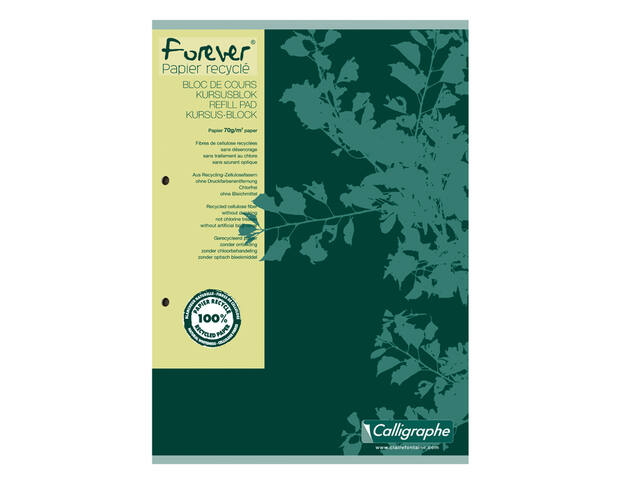 Cursusblk CF Calligraphe A4 ln 2g 200pag 70gr gn