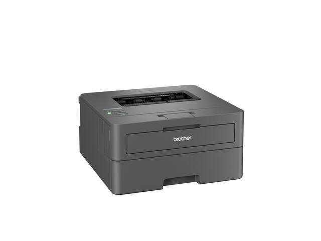 Printer Laser Brother HL-L2445DW