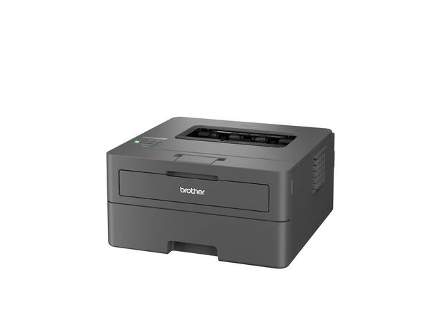 Printer Laser Brother HL-L2445DW