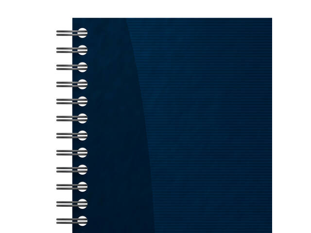 Task Manager Oxford 141x246mm 115vel blauw