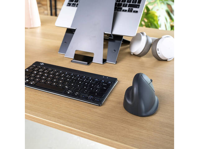 Ergonomisch muis R-Go HE Basic Wireless Rechts M