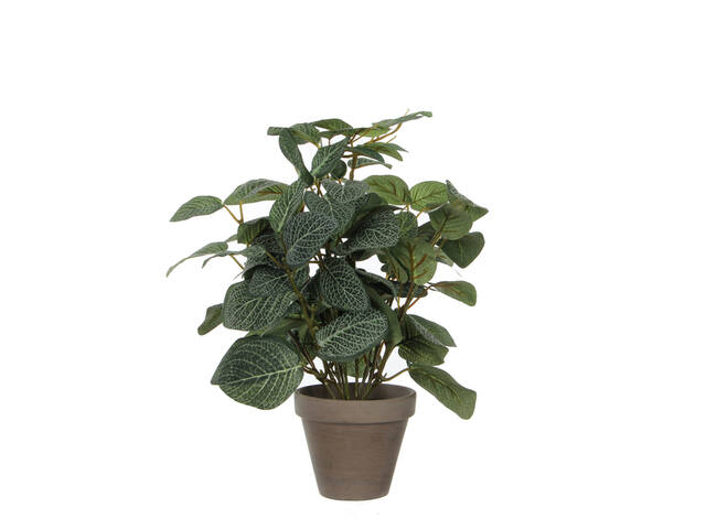 Kunstplant Mica Pilea in pot 35x25cm