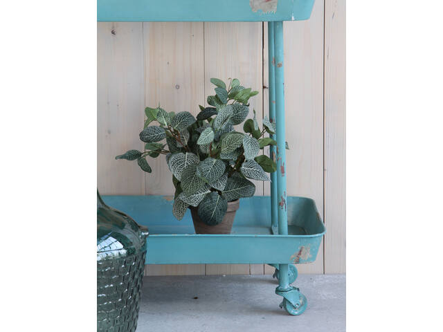 Kunstplant Mica Pilea in pot 35x25cm