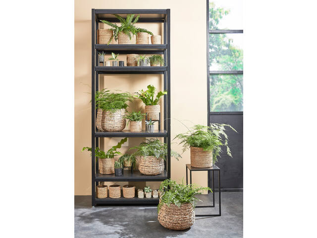 Plantenmand Mica Avalon zeegras 31x30cm lichtbruin