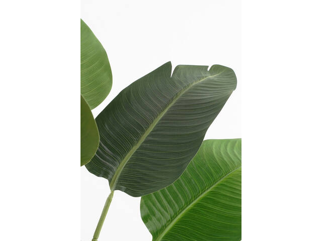 Kunstplant Mica Bananen boom in pot