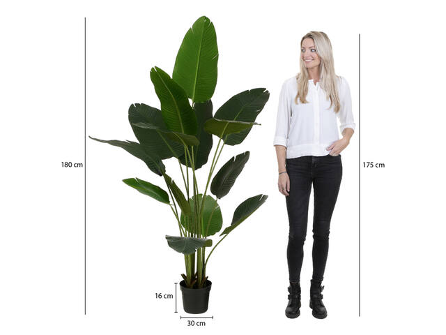 Kunstplant Mica Bananen boom in pot