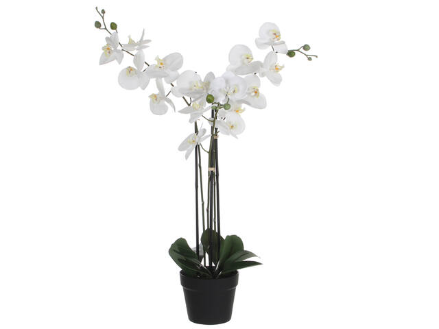 Kunstplant Mica Phalaenopsis orchidee wit