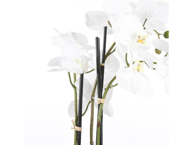 Kunstplant Mica Phalaenopsis orchidee wit