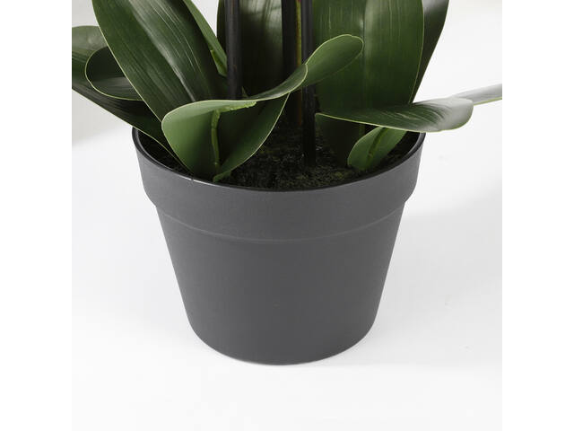 Kunstplant Mica Phalaenopsis orchidee wit