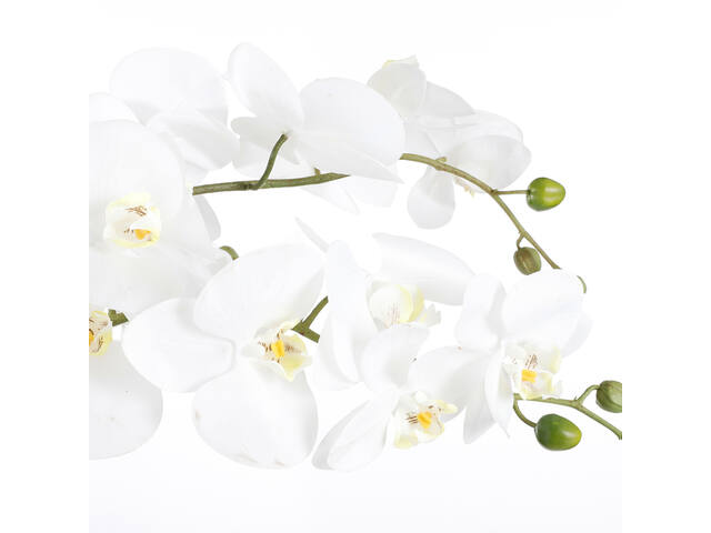 Kunstplant Mica Phalaenopsis orchidee wit