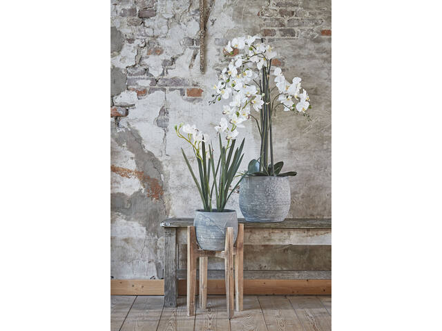 Kunstplant Mica Phalaenopsis orchidee wit