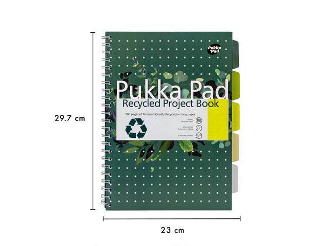 Projectboek Pukka Recy A4 lijn 4-g 200pag 80gr gn