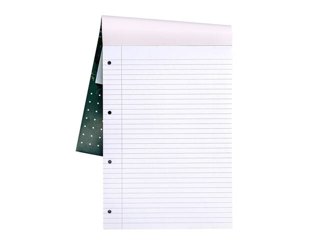 Schrijfblok Pukka A4 lijn 4-gaats 100 vel 80gr